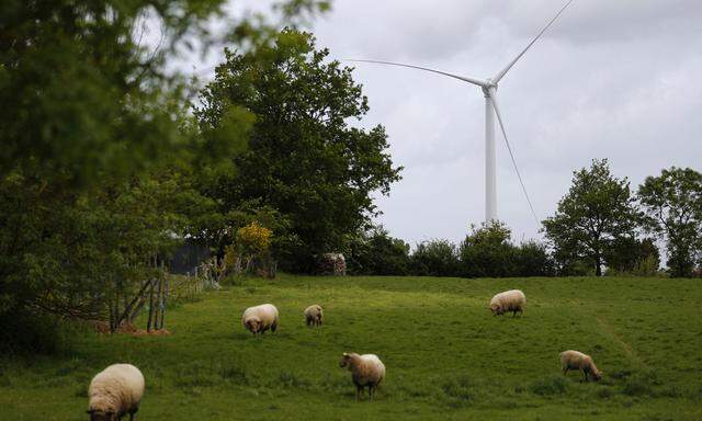 Bukolisches Idyll mit Turbine: Der Bau neuer Windkraftanlagen in der EU soll beschleunigt werden.
