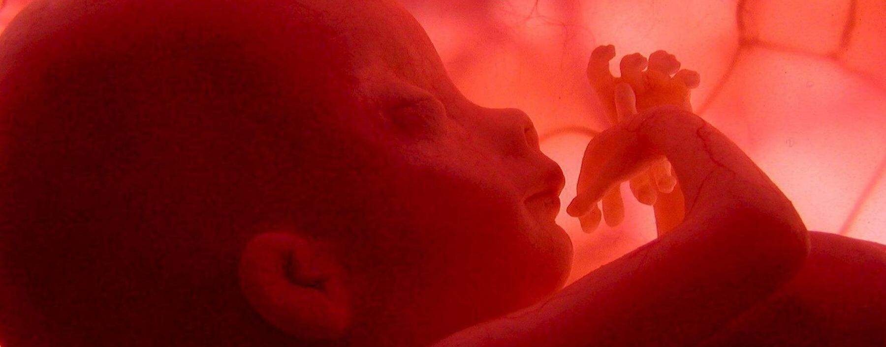 Seine Gene liegen fest. Aber bei ihrer Steuerung spielt schon im Uterus die Umwelt mit, über epigenetische Mechanismen.