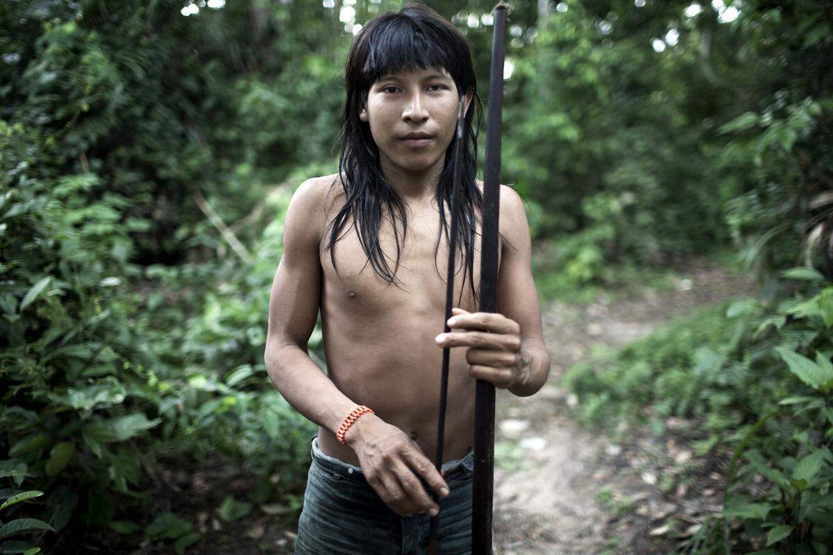 Die Taromenane leben im Biosphärenreservat (Yasuni-Nationalpark), und zwar in Familienverbänden mit 20 bis 50 Mitgliedern. Ein anderes Volk sind die Awa-Guaja (Bild), die im östlichen Amazonasgebiet leben. Die Awa sind Nomaden.
