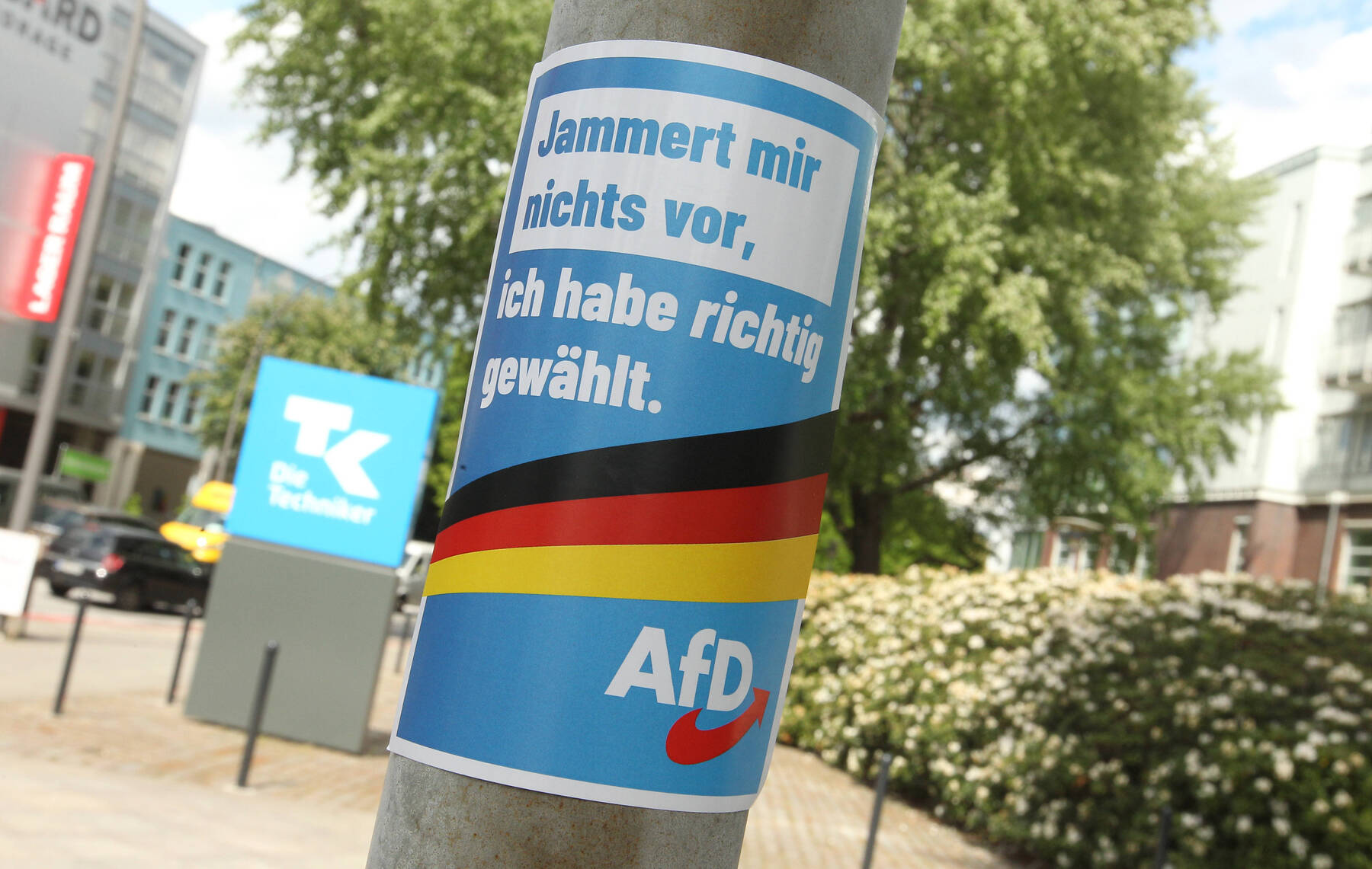 So hoch wie noch nie: AfD klettert in Umfragen auf 29 Prozent