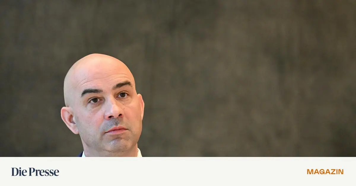 Fall-Pilnacek-Volksanwalt-klagt-ber-Schikanen-premium-