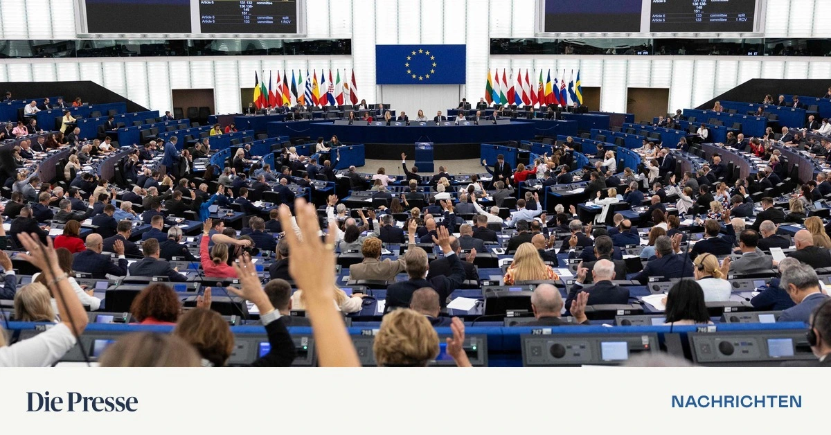 Young Reporter Covers Russian Attack in EU Parliament