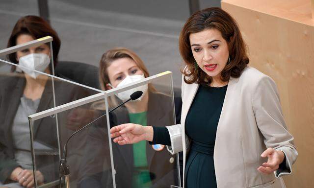 Kurz vor der Babypause bringt die Grüne Justizministerin Alma Zadić ihr Prestigeprojekt noch in trockene Tücher. 