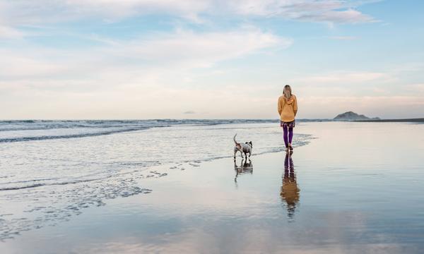 Symbolbild: Frau spaziert mit ihrem Hund einen neuseeländischen Strand entlang. 