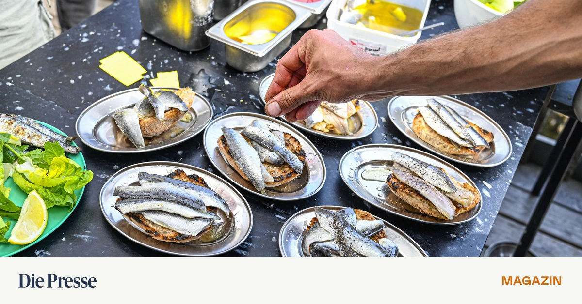 Von-Fettabbau-bis-Glow-Was-die-Sardine-angeblich-alles-kann-premium-