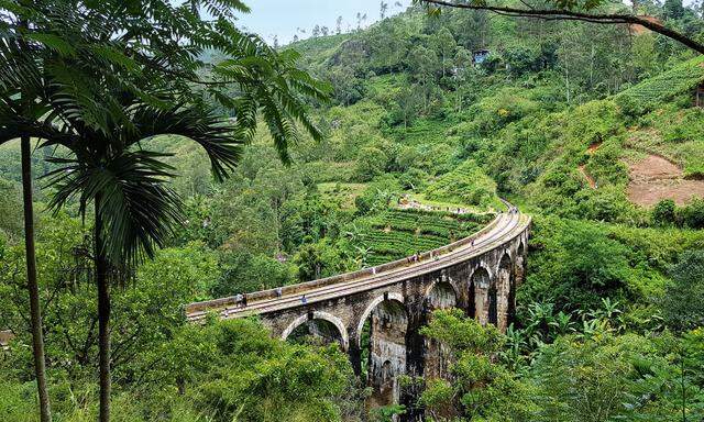 Aussicht. Eine aufregende Bahnstrecke führt durch Sri Lankas Hochland.