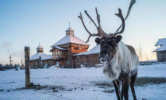 181203 YAKUTSK Dec 3 2018 A reindeer is pictured outside a local reisident s house in Ya