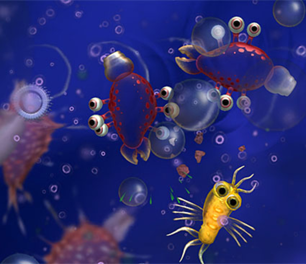 In dem Computerspiel Spore kann man Gott spielen: Die eigene Schöpfung durchläuft die gesamte Evolution vom Einzeller in den Weltraum.