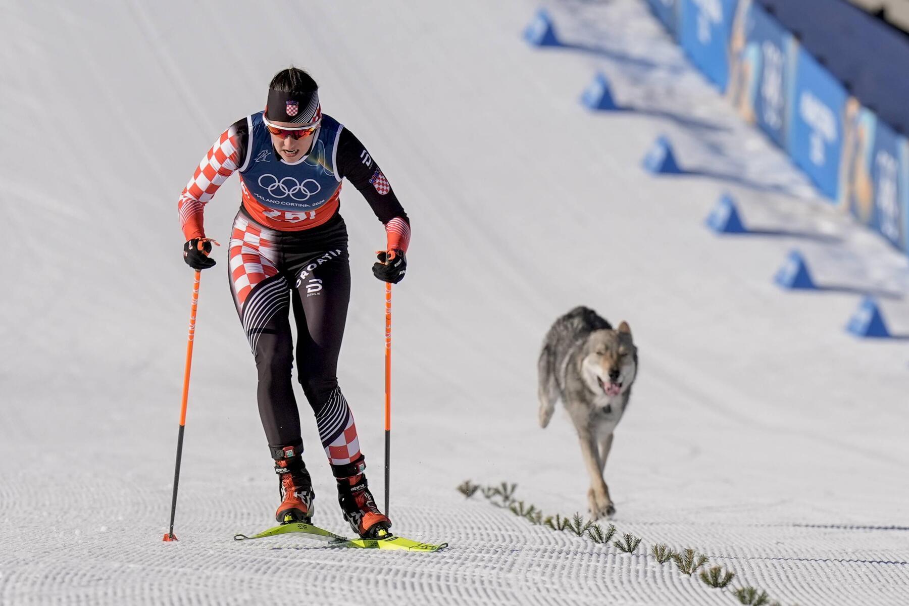 Dog Chases Skiers, Results Stand