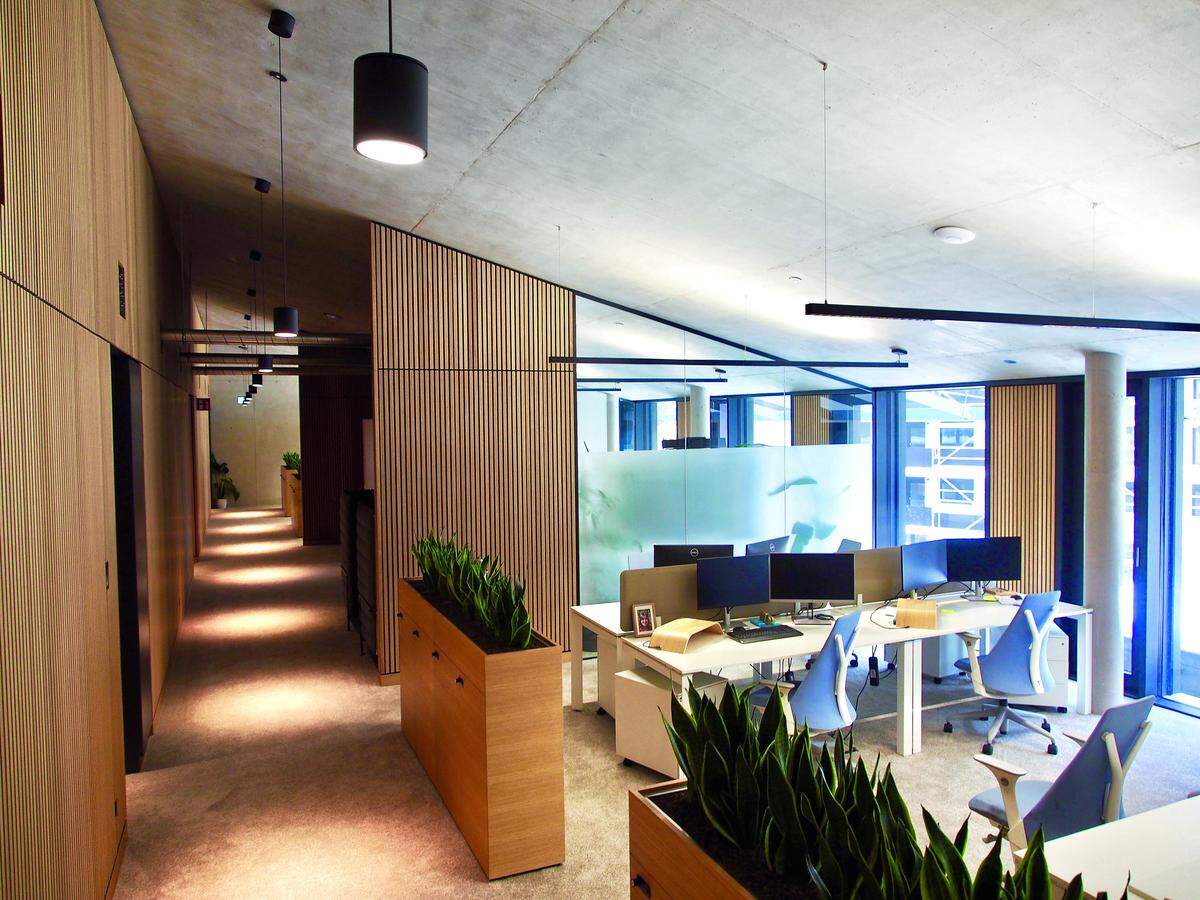 Geschützt: Büro-Zonen unter dem Satteldach mit viel natürlichem Licht. Und „Omapflanzen sind wieder hip“, hier in begrünten Raumteilern.