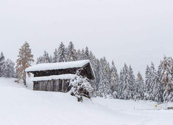 Die große Menge Neuschnee hat den Südwesten Österreichs in eine weiße Landschaft verwandelt - aber auch für Probleme gesorgt.