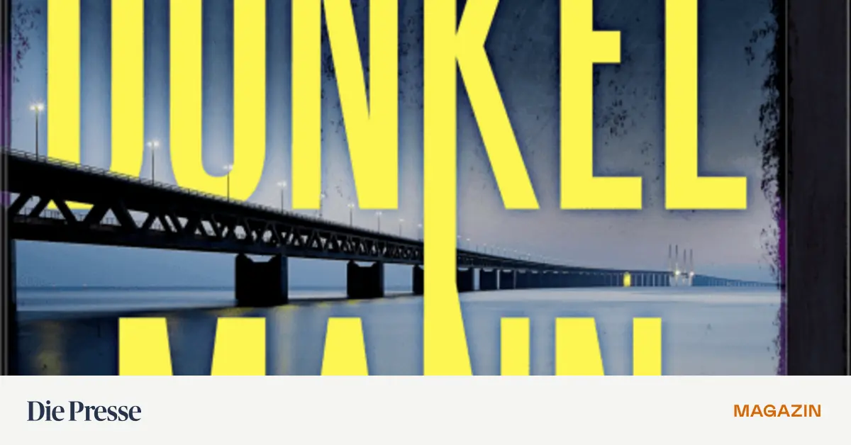 F-nf-neue-Polit-Thriller-zur-Lage-der-Welt-Ukraine-Krieg-Gier-nach-Gr-nland-Faschismus-in-Frankreich-premium-