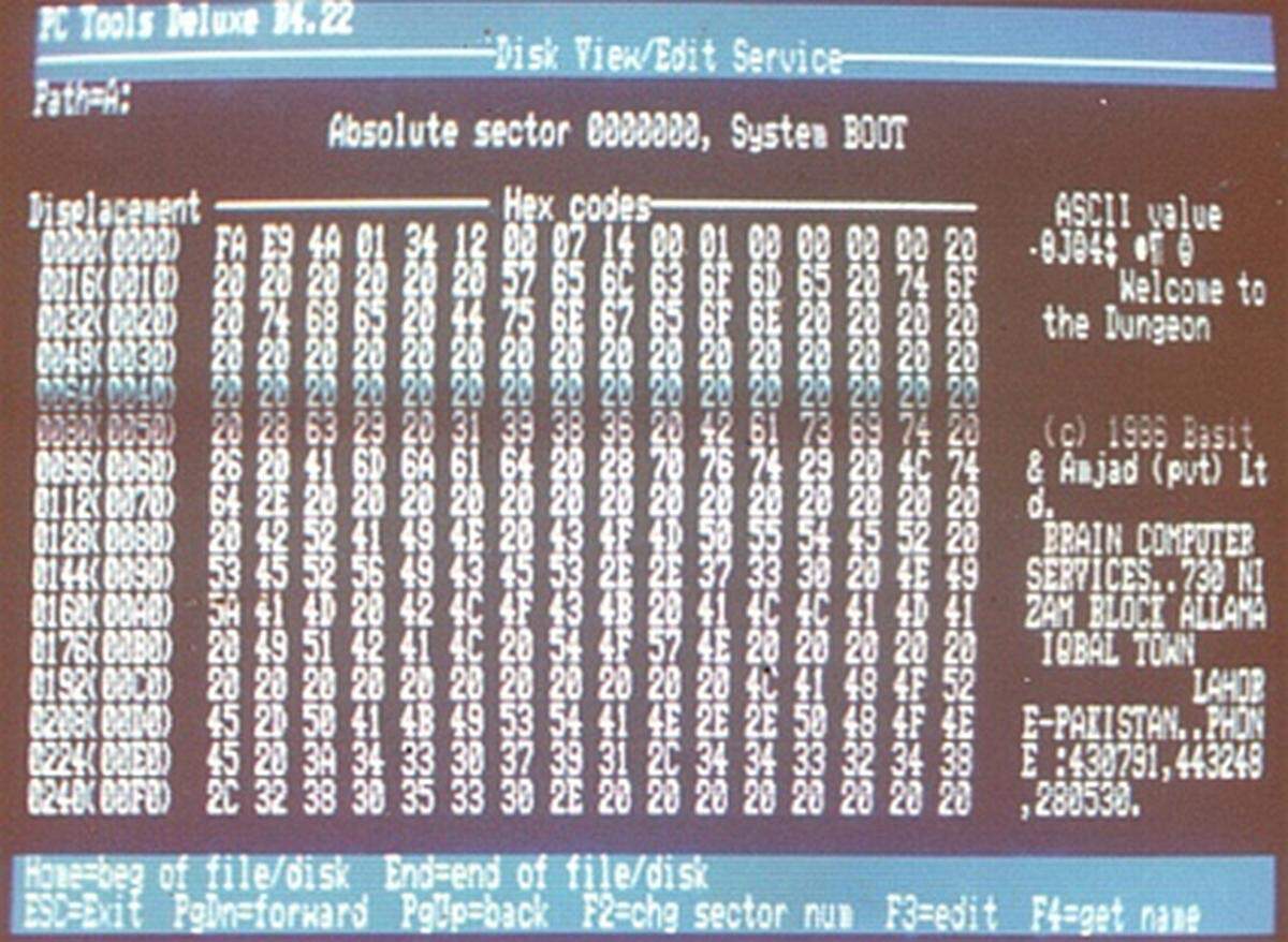 Und hier der Jubilar: Brain wird allgemein als der erste Virus für Computer mit MS-DOS angesehen. Ähnlich wie der Elk Cloner verbreitete auch er sich über Disketten. Brain verlangsamte das Diskettenlaufwerk und stahl sich sieben Kilobyte des Computerspeichers. Freundlicherweise gaben die pakistanischen Schöpfer des Schädlings ihre Namen, Adresse und Telefonnummer im Code der Software an.
