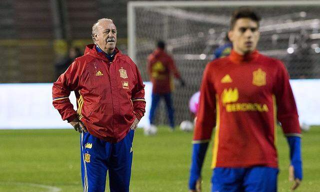 Spaniens Teamchef Vicente del Bosque