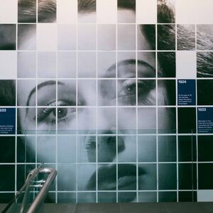 Eine Frau als Mosaik: Auf fünfeinhalb Stockwerken sind, kachelartig, 520 Einzelblätter befestigt.