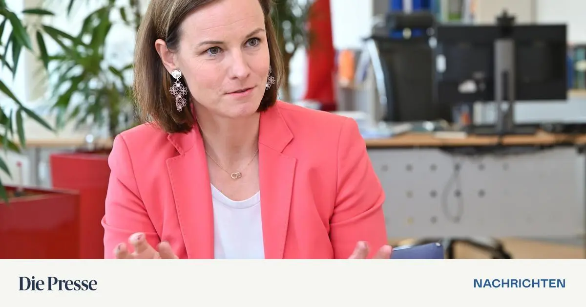 FMA-will-Datenaufwand-f-r-Banken-erleichtern-premium-