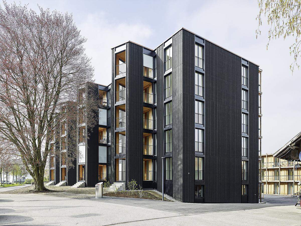 Für die außergewöhnlich kreativen und innovativen Wohnungsbauten in der Kategorie Mehrfamilienhäuser erhielten die Arbeitsgemeinschaft Weberbrunner Architekten/Soppelsa Architekten aus Zürich (CH) mit dem Projekt "Hagmannareal Winterthur", . . .