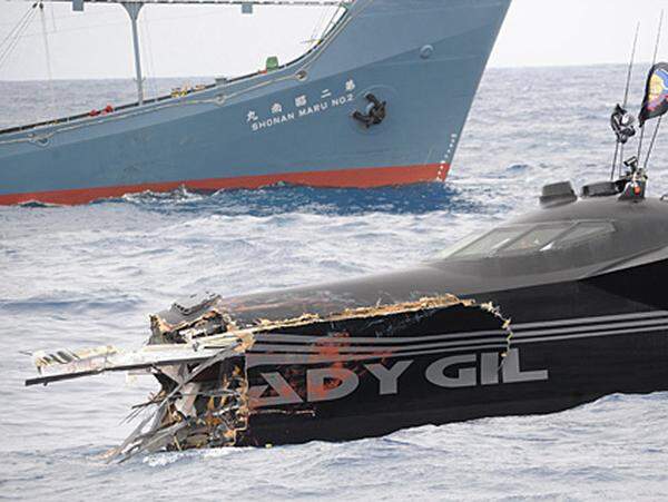 Sprecher Paul Watson bezifferte den Schaden mit knapp zwei Millionen Dollar. Er warf den japanischen Walfängern vor, schuld an der Eskalation zu haben. Die jährlichen Aktionen gegen den Walfang seien nun zu einem "echten Wal-Krieg" geworden, sagte Watson, der auch Kapitän des Sea-Shepherd-Hauptschiffs "Steve Irwin" ist.