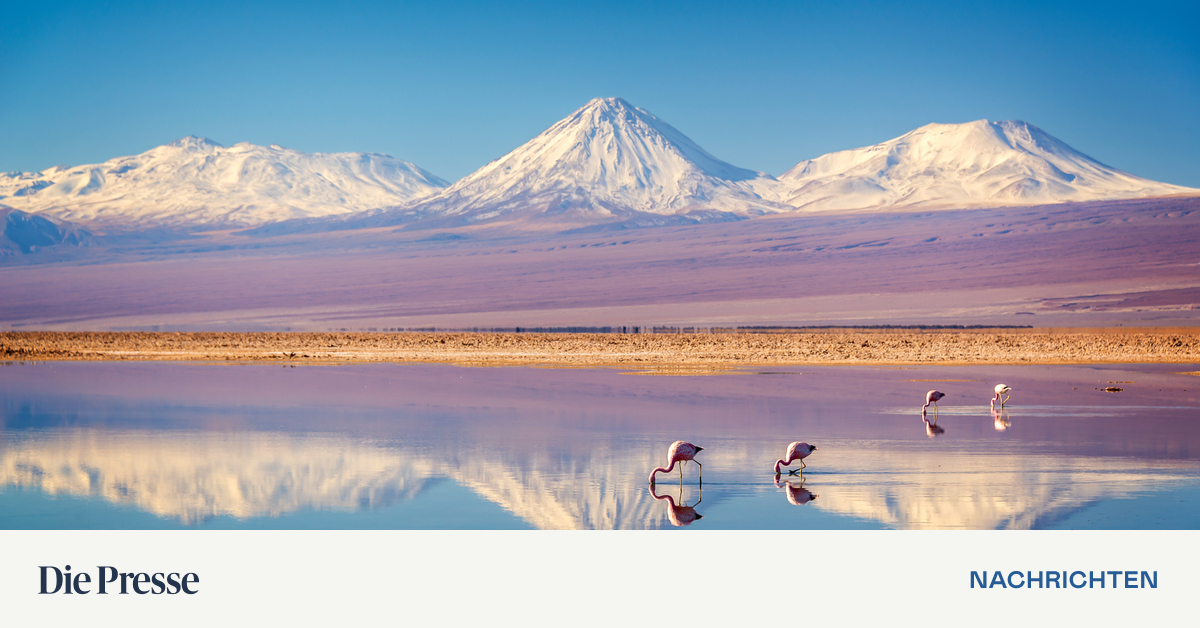 Andengipfel, Salzwüste und Gletschereis Kép