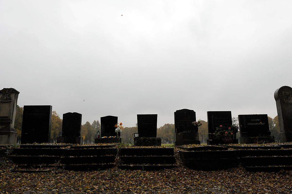 Aktuell umfasst der Wiener Zentralfriedhof 330.000 Grabstellen – rund 45.000 davon unbelegt und erwerbbar. Die Gräber haben eine Tiefe von 2,70 Metern, eine durchschnittliche Länge von 2,20 Metern und eine Breite von etwa 1,20 Metern. Ausgehoben werden sie (zu 80 Prozent) von 25 Totengräbern – per Hand. Denn „die Bagger können die engen Wege oft nicht passieren“, sagt Andrea Rauscher von der Friedhofverwaltung. In Summe arbeiten rund 180 Personen auf und um Europas zweitgrößte Begräbnisstätte.