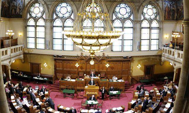 Am Dienstag wird das Wiener Budget 2019 im Rathaus beschlossen.