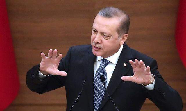 Mag Kritik gar nicht: Der türkische Präsident Erdogan