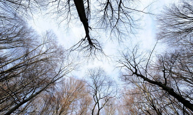 Die Tage werden kürzer und kürzer. Die Schatten länger und länger.