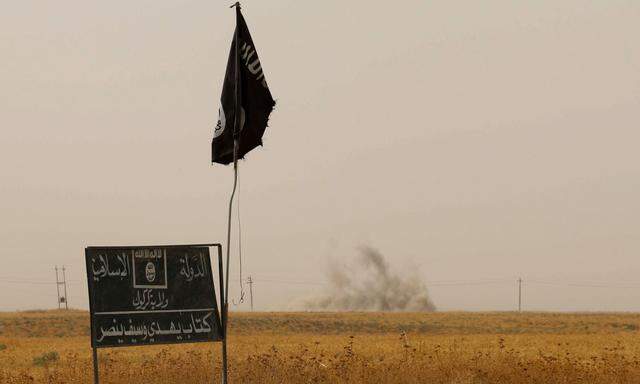 Experten: IS nimmt monatlich 80 Millionen Dollar ein 
