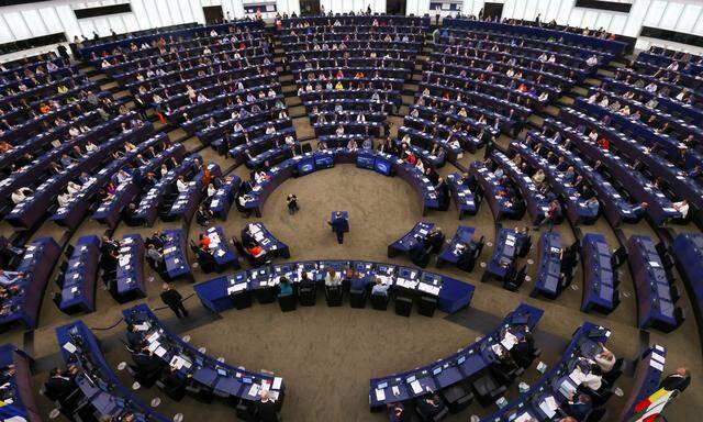 Im Juni kommenden Jahres ist die Wahl zum EU-Parlament angesetzt.