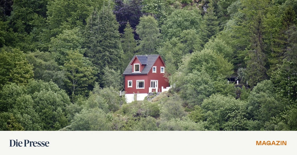 Anlage-in-ein-Forstgut-Was-Waldgrundst-cke-wert-sind-premium-