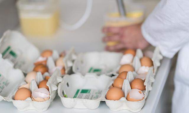 Skandal um belastete Eier - Veterinaeruntersuchungsamt