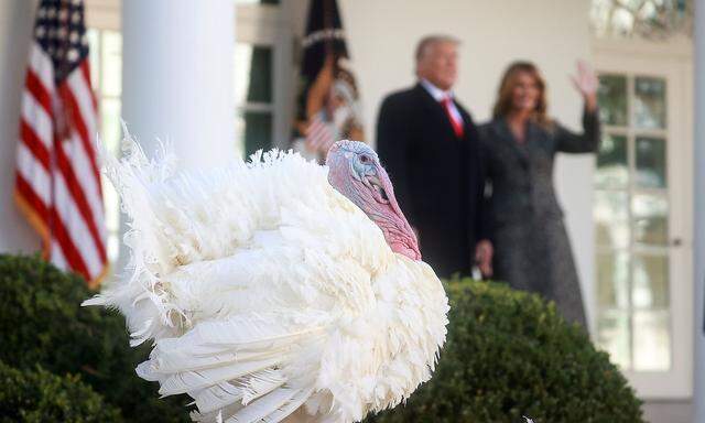 U.S. President Trump hosts presentation of 73rd National Thanksgiving Turkey at the White House