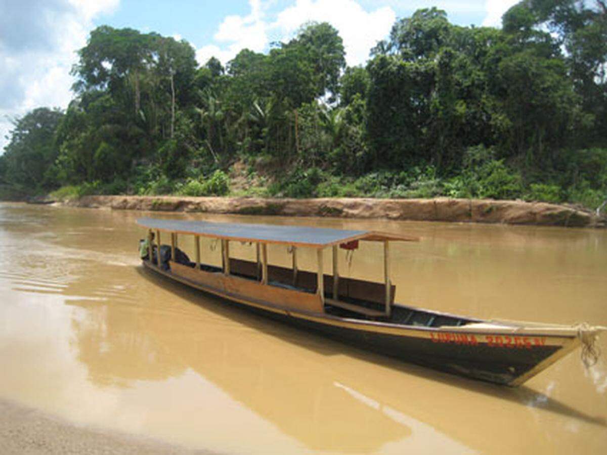 Die grandiose Einsamkeit am Rio de las Piedras, die man bei Expeditionen für freiwillige Helfer erfahren kann, die von Biosphere Expeditions organisiert werden: www.biosphere-expeditions.org. Die Region ist unter anderem von der „Carretera Interoceánica“ gefährdet, einer Durchquerungsautobahn zwischen Atlantik und Pazifik, und Lieblingsprojekt des peruanischen Präsidenten.  Martin Amanshauser, LOGBUCH WELT, 52 Reiseziele, www.amanshauser.at, Bestell-Info unter www.diepresse.com/amanshauser oder 01/51414-555