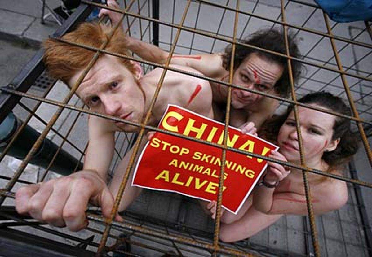 Der VGT propagiert eine vegetarische oder vegane Lebensweise - also ohne Fleisch, bzw. ohne tierische Produkte. Außerdem kämpft der VGT gegen Pelztierhaltung. Im Bild: Proteste gegen Pelzfarmen in China vor der chinesischen Botschaft.
