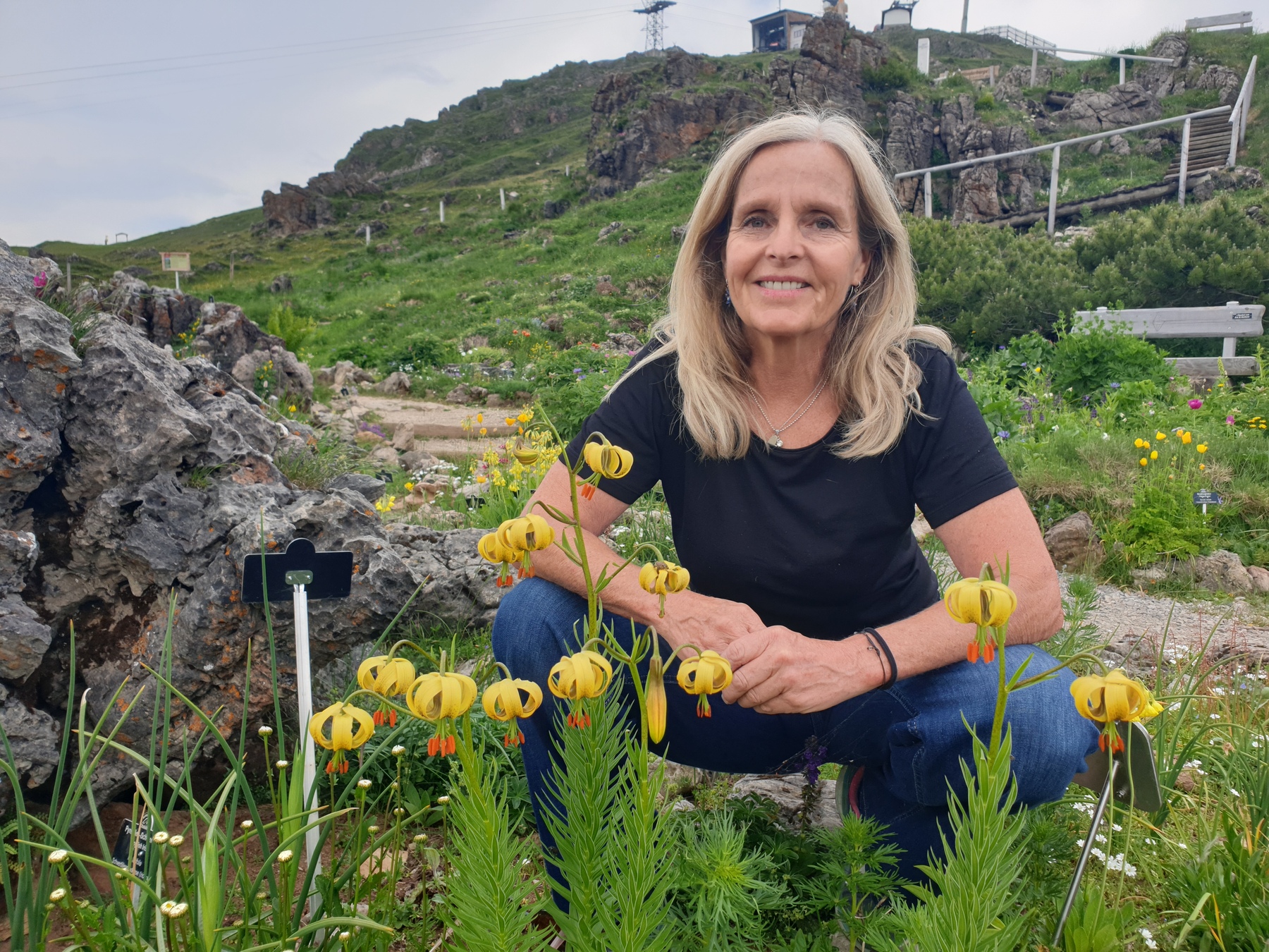 From Weeding to Porcelain: An Alpine Garden's Story
