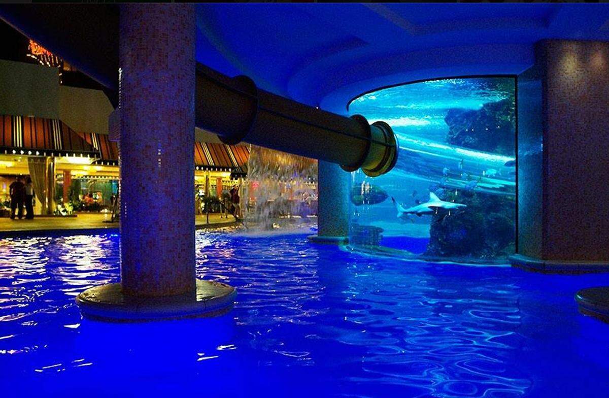 An der Seite eines Haifisches (hinter Glas) kann man in Las Vegas schwimmen.