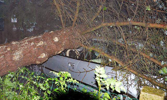 In Karlstein an der Thaya wurden mehrere Bäume durch den Sturm entwurzelt, einer fiel auf ein geparktes Auto 