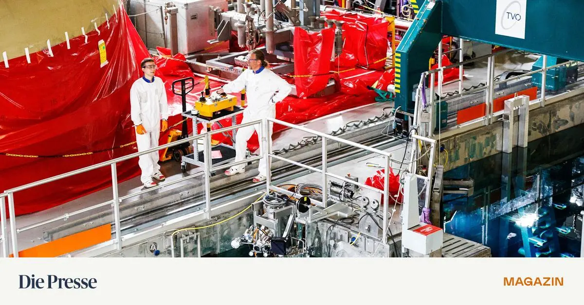 Finnische-Energieministerin-Wir-haben-das-Problem-mit-dem-Atomm-ll-gel-st-premium-