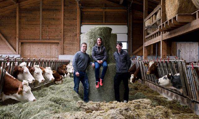 Christoph und Cornelia Freiler mit Nahgenuss-Gründer Micha Beiglböck (von links). Oben ist das Minischwein Ferdinand zu sehen, der bei den Zuchtsauen lebt. Das Fleisch wird in Paketen verschickt.