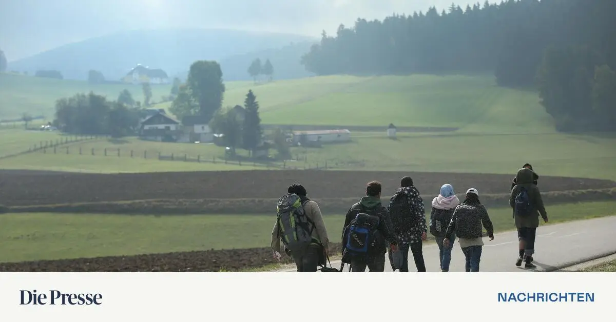 EU-versch-rft-Regeln-Polizei-soll-illegale-Migranten-in-Privatwohnungen-aufsp-ren-d-rfen-premium-