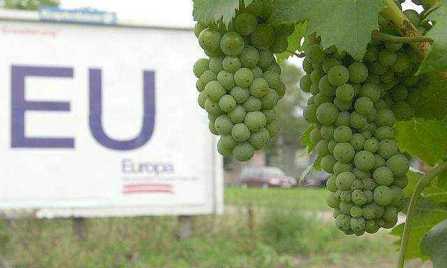 Es wird ein Wein sein - aber nach Wunsch der EU kein Uhudler