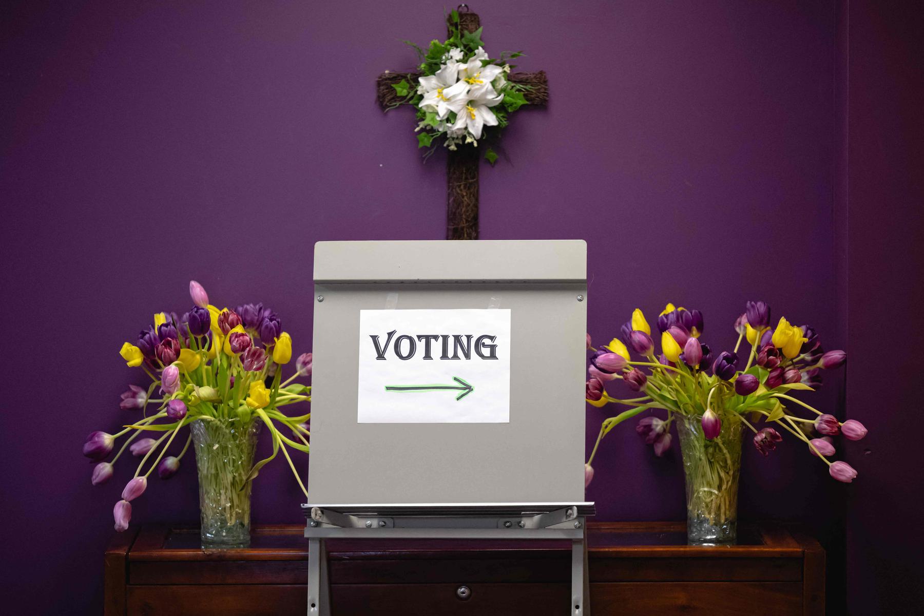 Zelu hummingbird game