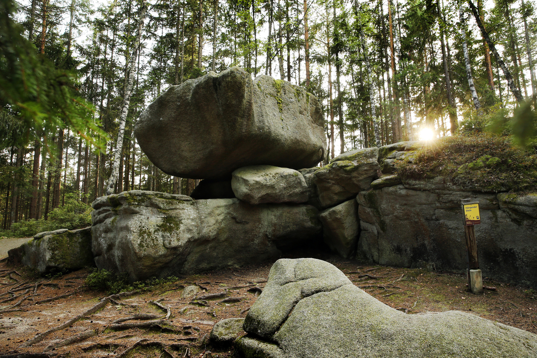 Waldviertel: Auszeit mit Wackelstein, Baumhaus und Brokkoli-Effekt