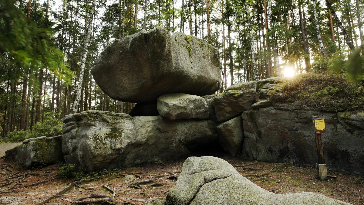 Waldviertel-Auszeit-mit-Wackelstein-Baumhaus-und-Brokkoli-Effekt