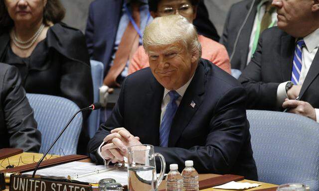 US-Präsident Donald Trump im UNO-Sicherheitsrat.