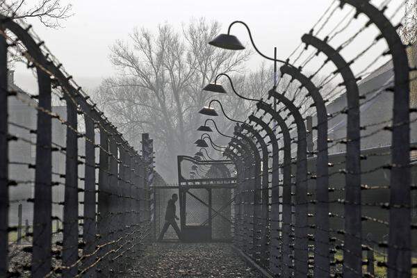 Als am frühen Nachmittag des 27. Jänner die Sowjettruppen Auschwitz erreichten, bot sich ihnen ein Bild des Grauens. Sie fanden hinter dem Stacheldraht viele Leichen und nur wenige Überlebende - etwa 7000. Die meisten waren in einem elenden Zustand. Für die Schwächsten unter ihnen kam jede Hilfe zu spät, sie starben in den Tagen nach der Befreiung an Krankheit oder Unterernährung.