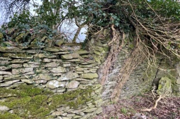 Stone walls attract e.g. B. lizards.