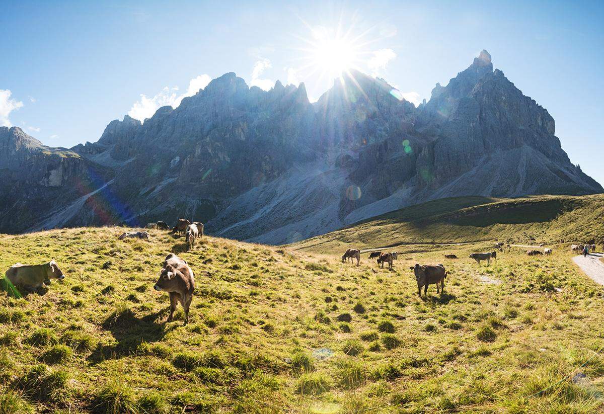 Die Dolomiten im Nordosten Italiens gehören zum Weltkulturerbe. Der Alta Via delle Domiti führt 120 Kilometer durch die Alpenlandschaft.