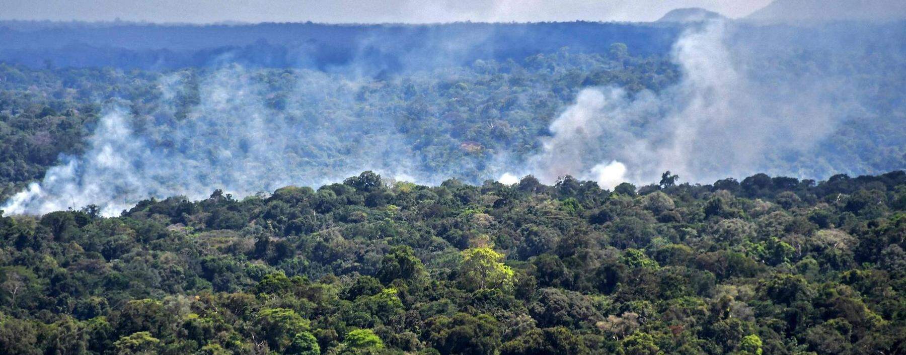 Rauch im Urwald des brasilianischen Amazonasstaates Amapá, Bild vom Vorjahr.