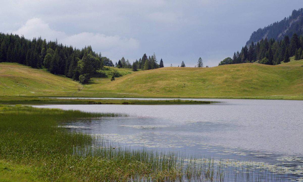 Das auf rund 1000 Metern Seehöhe gelegene Naturschutzgebiet Seewaldsee bei St. Kolomann im Salzburger Tennengau, war der perfekte Ort als mystische Kulisse für die Hollywood-Produktion "Der letzte Tempelritter". Umgeben von Streuwiesen, Wäldern und der Moor-und Sumpfvegetation fühlten sich die Schauspieler (u.a. Nicolas Cage) tatsächlich in eine andere Zeit versetzt: "Es ist hier wie im Märchen", schwärmt der Filmstar Cage.